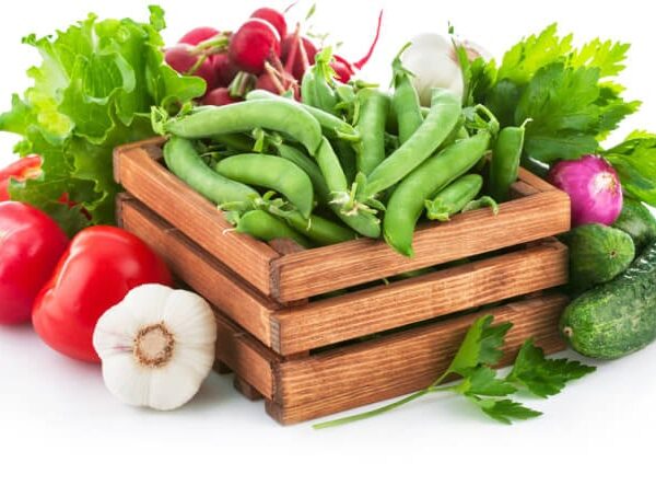 Fresh Vegetables